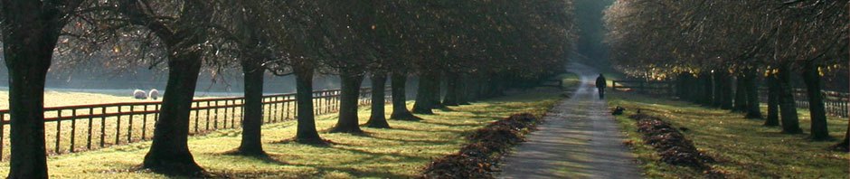 PgCert in Academic Practice